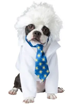Einstein Kostüm Für Hunde