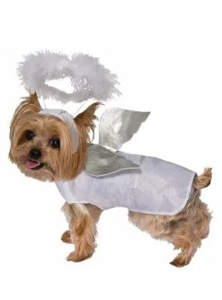 Engels Kostüm Für Hunde Classic