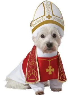Papst Kostüm Für Hunde